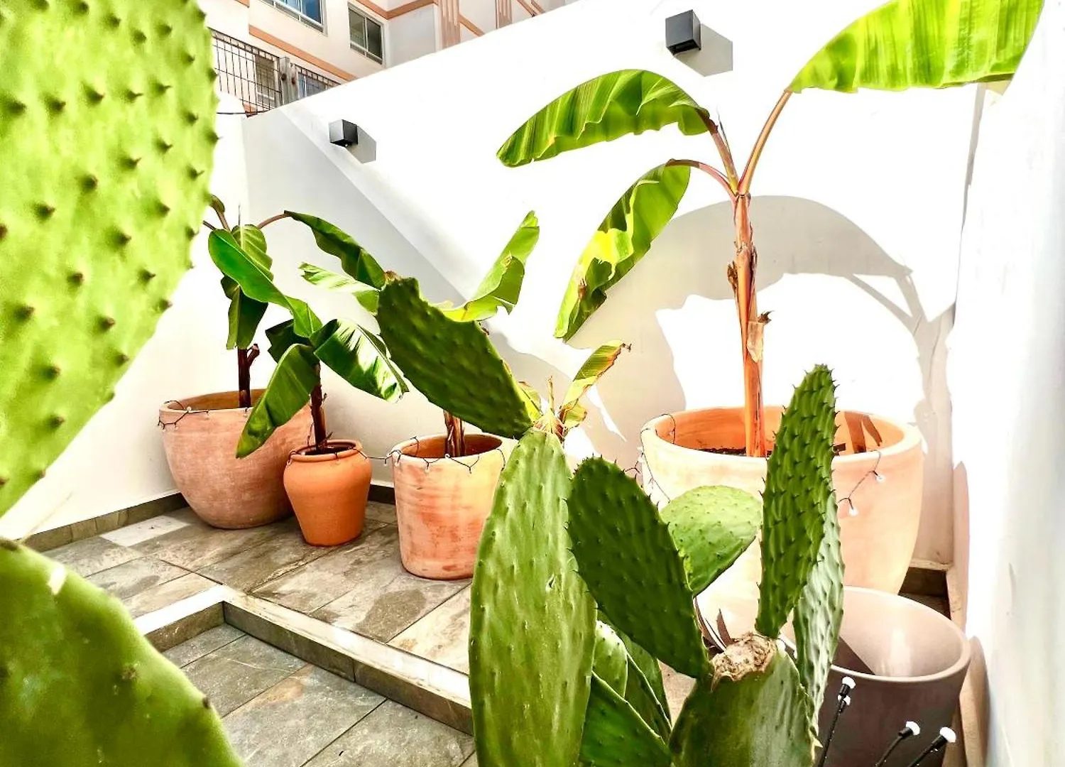 Homestay Casita Naif Estancias En Torre Del Mar A 30 Metros De La Playa
