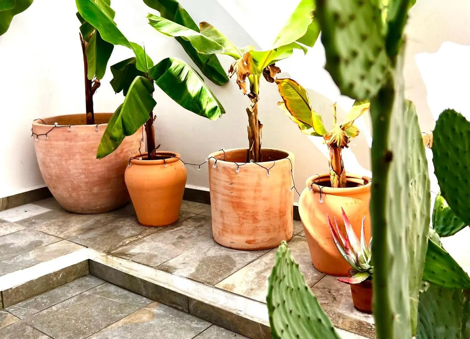 Casita Naif Estancias En Torre Del Mar A 30 Metros De La Playa Homestay